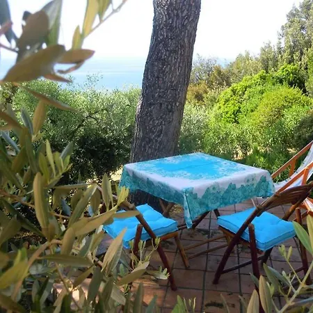 Mini Ulivo 3* مارتْشانا مارينا